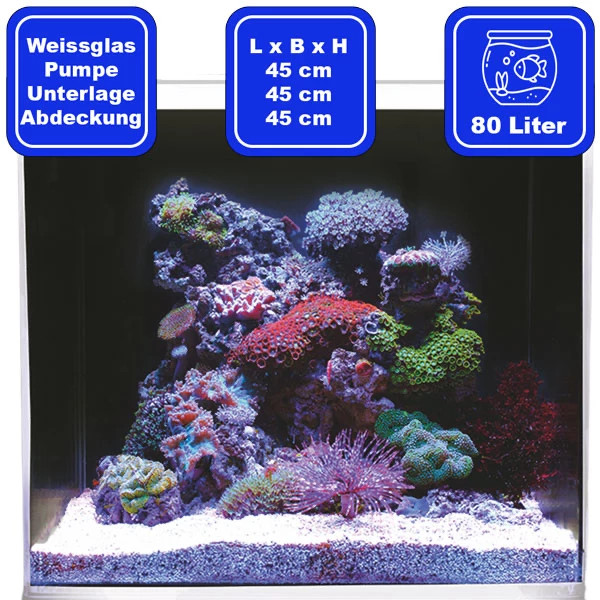 Meerwasseraquarium Dupla Marin Ocean Cube 80