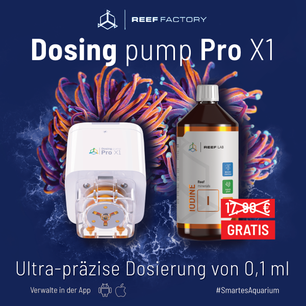 Dosing Pump Pro X1 Aktion