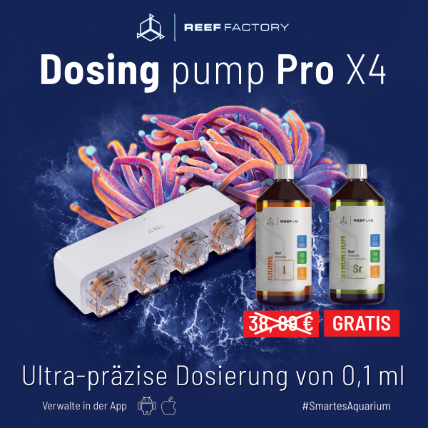 Dosing Pump Pro X4 Aktion